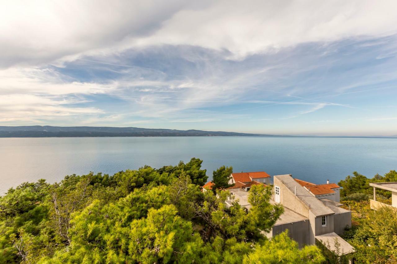 Beach Apartments Borovina Stanici Bagian luar foto